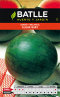 SANDIA SUGAR BABY SOBRE