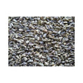 ESCAROLA VINCI 20 KG.