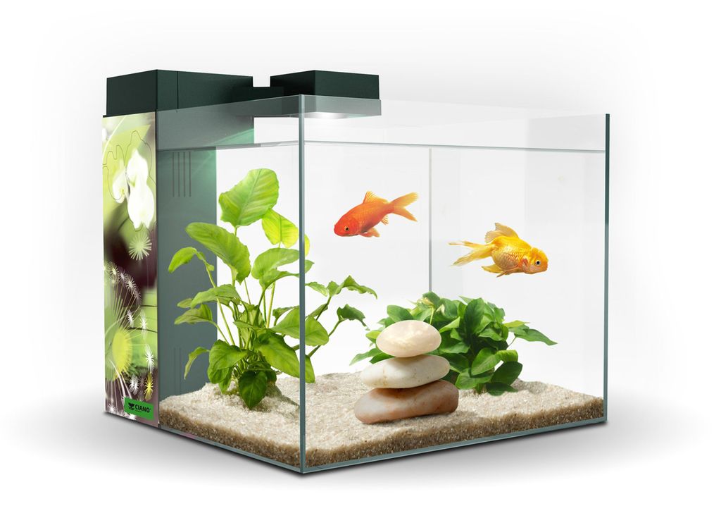 ACUARIO ZENEO 30 OBSESION