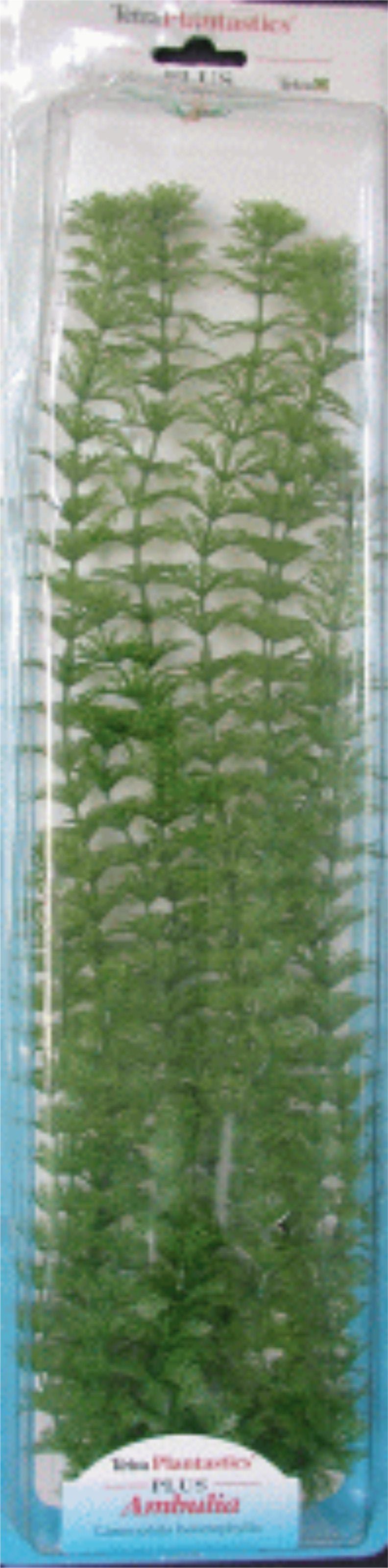 PLANTA AMBULIA PLUS (28-33CM)