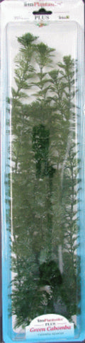 PLANTA CABOMBA PLUS (28-33CM) L