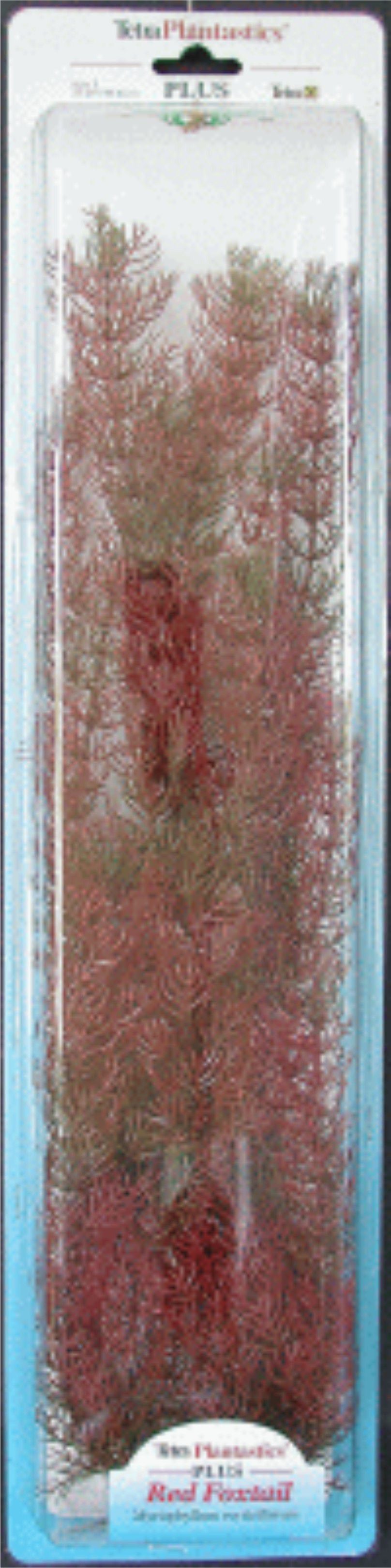 PLANTA FOXTAIL (28-33CM)