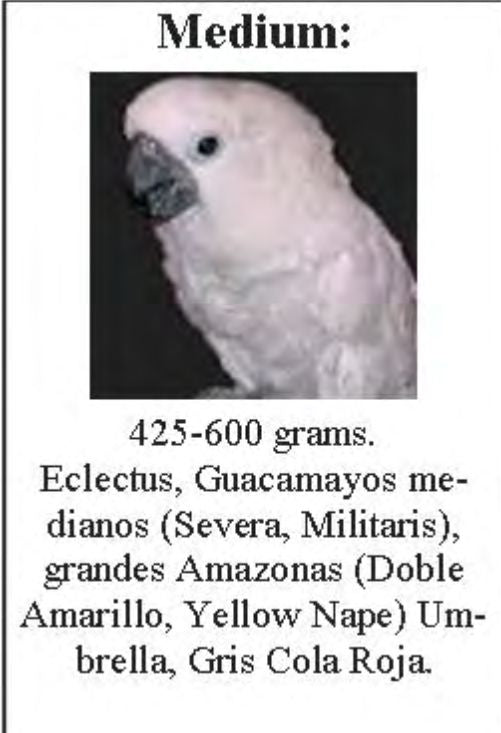 SUN PARROTS ARNES MEDIUM LOROS