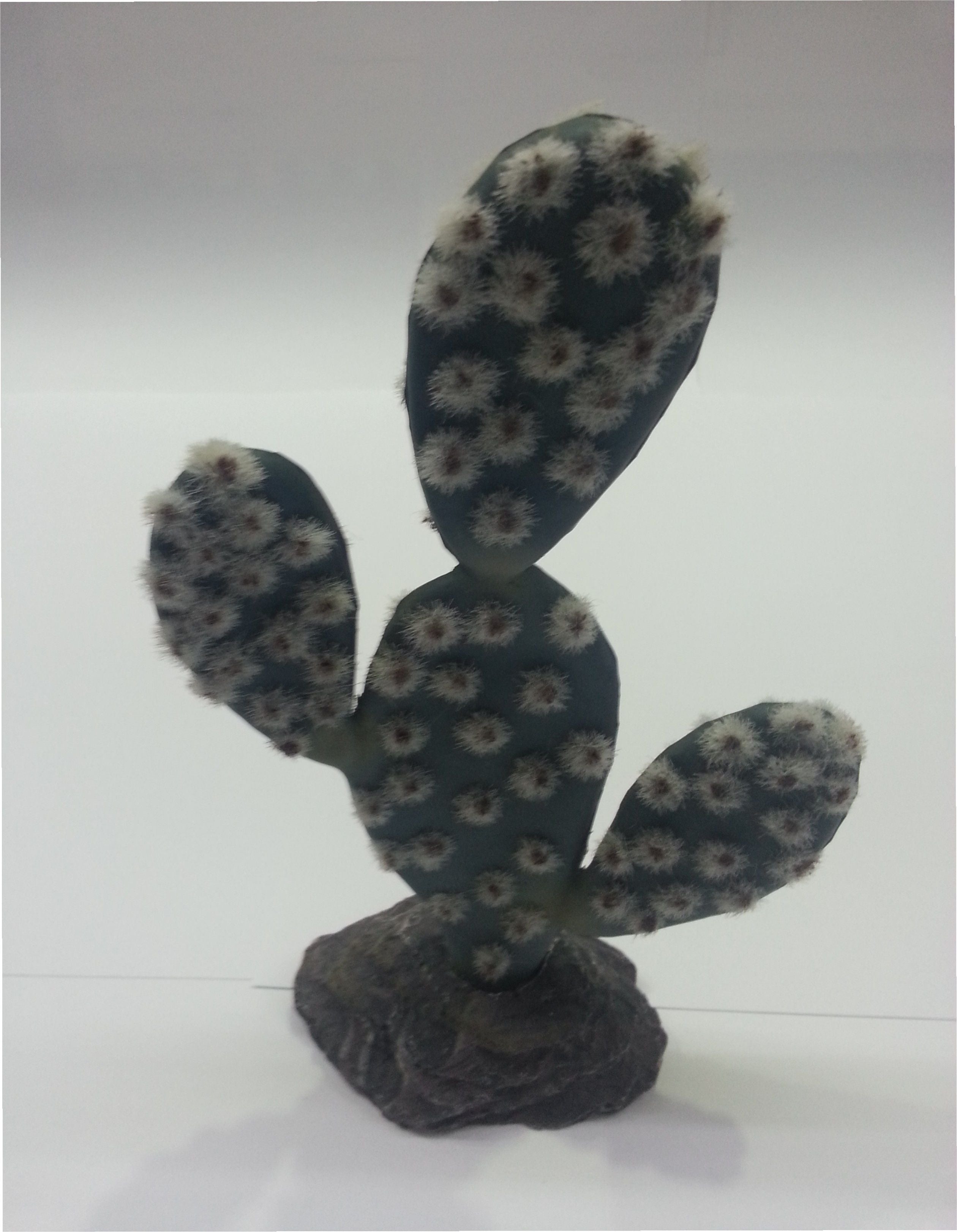 CACTUS SAHARA 19CM.