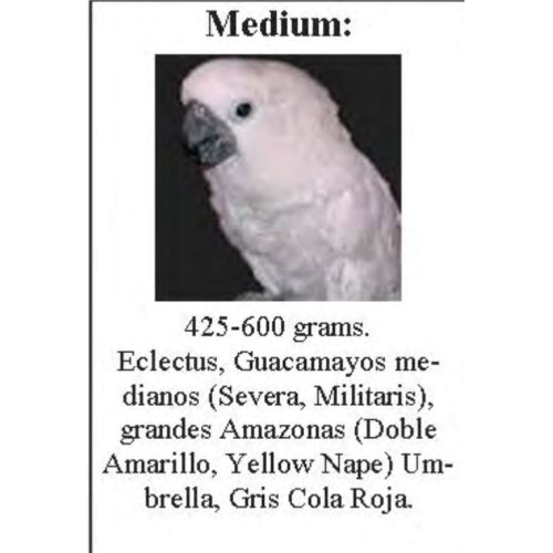 SUN PARROTS ARNES MEDIUM LOROS