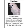 SUN PARROTS ARNES MEDIUM LOROS